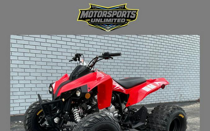 2027 Kayo Storm 300 EFI