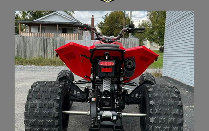2027 Kayo Storm 300 EFI