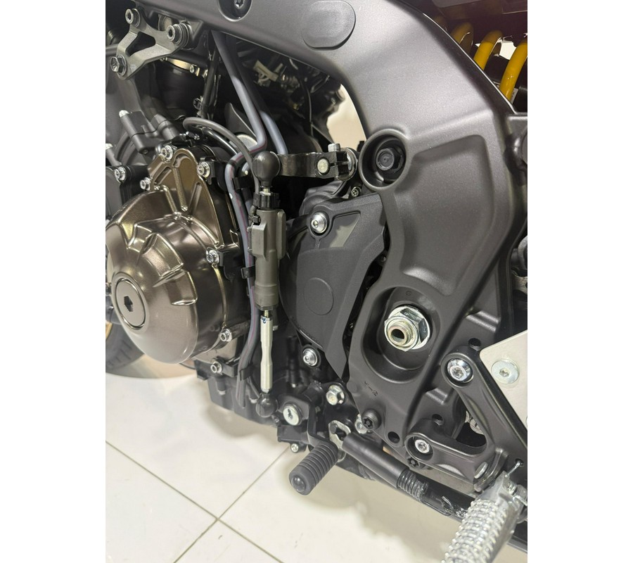 2024 Yamaha Motor Corp., USA XSR900