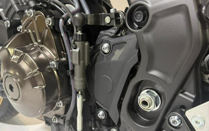 2024 Yamaha Motor Corp., USA XSR900