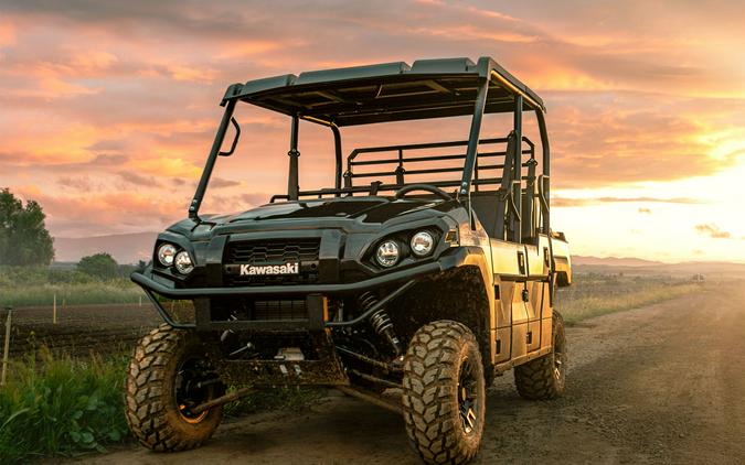 2024 Kawasaki MULE PRO-FXT 1000 LE