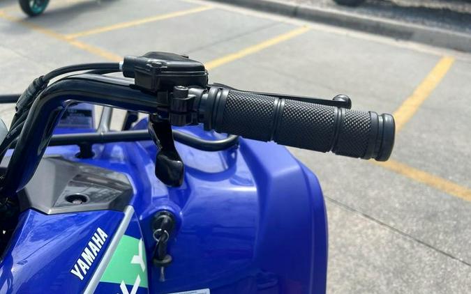 2026 Yamaha Grizzly 110