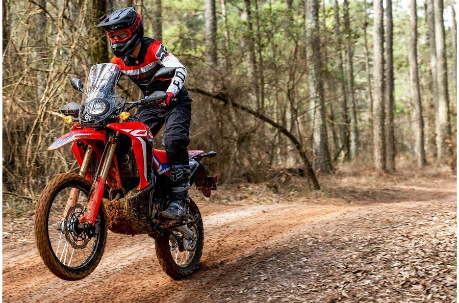 2023 Honda CRF300L RALLY