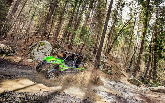 2018 Kawasaki Teryx4 LE