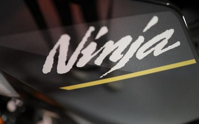 2026 Kawasaki Ninja® 1100SX ABS