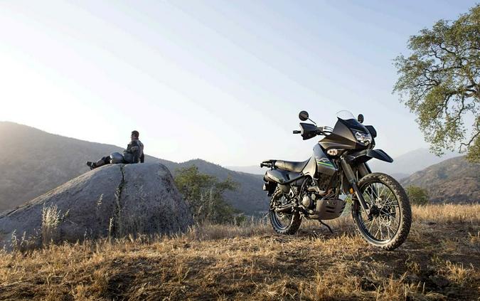 2015 Kawasaki KLR™650