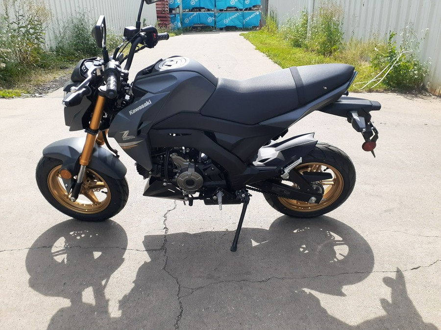 2024 Kawasaki Z125 PRO Base