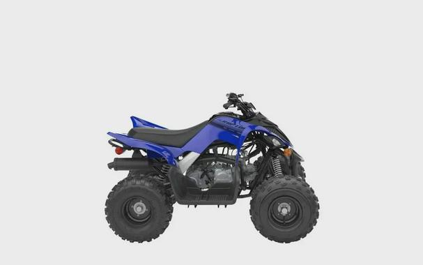 2024 Yamaha RAPTOR 110