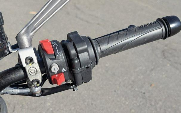 2026 Ducati Monster Plus Aviator Grey