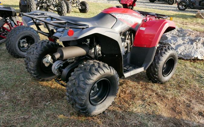 2025 Yamaha Grizzly 110