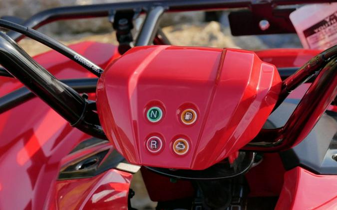 2025 Yamaha Grizzly 110