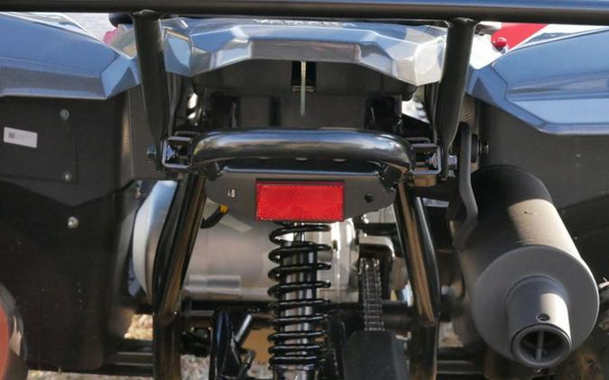 2025 Yamaha Grizzly 110