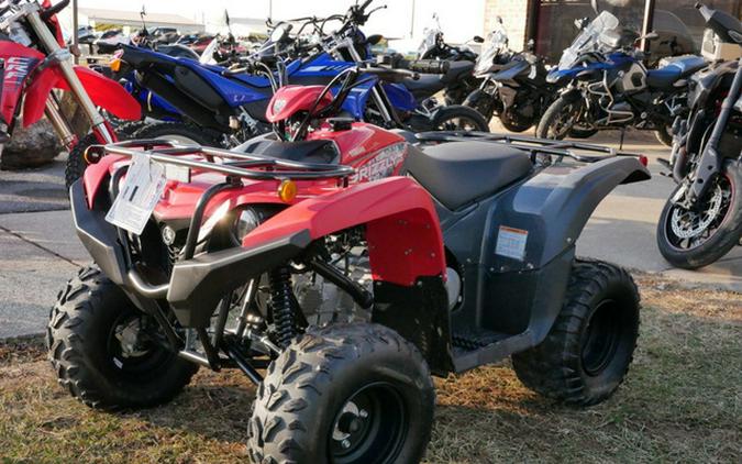 2025 Yamaha Grizzly 110