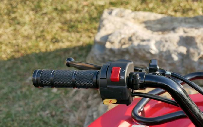 2025 Yamaha Grizzly 110