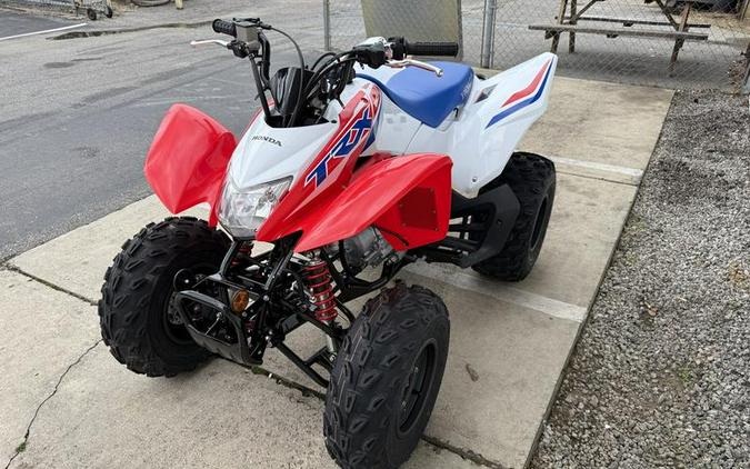 2026 Honda® TRX250X