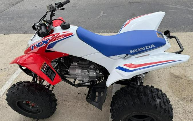 2026 Honda® TRX250X