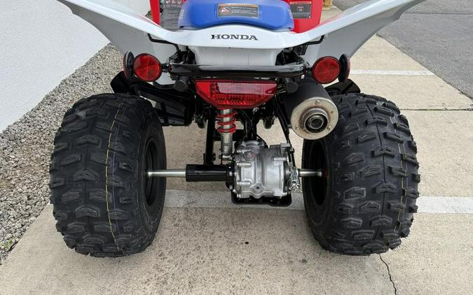 2026 Honda® TRX250X