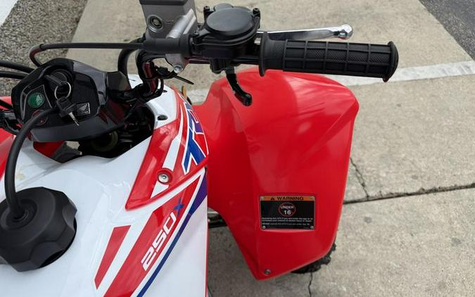 2026 Honda® TRX250X
