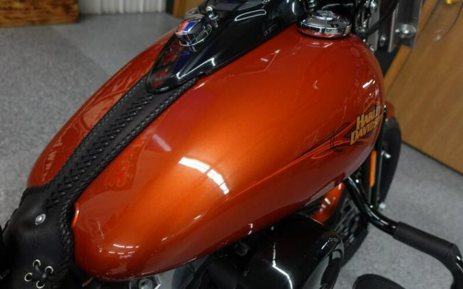 2011 Harley-Davidson Cross Bones