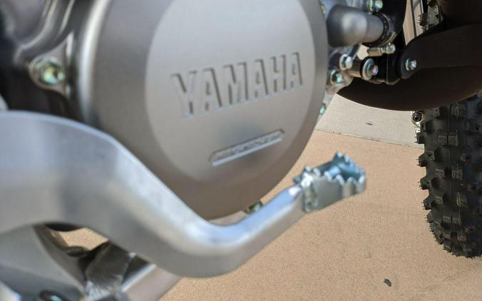 2027 Yamaha YZ125 MONSTER EDITION