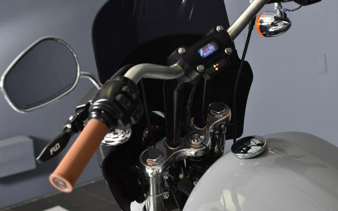 2024 Harley-Davidson Softail Standard Billiard Gray FXST
