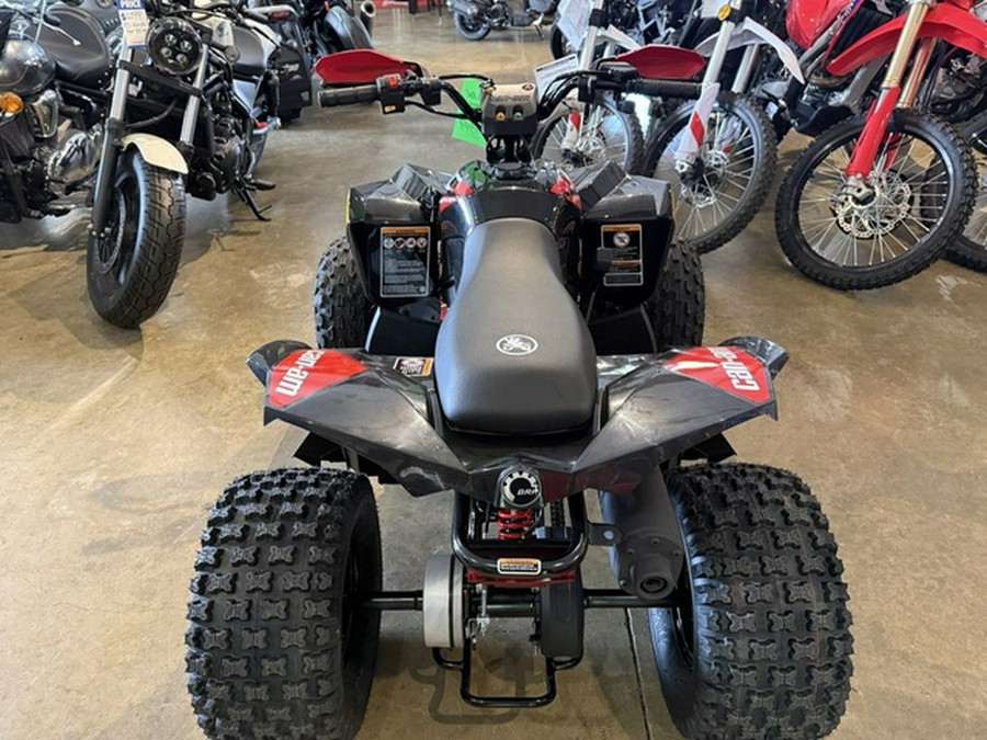2026 Can-Am Renegade X Xc 110 EFI
