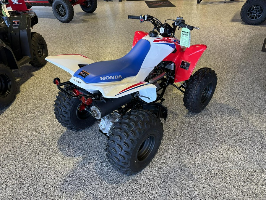 2026 Honda TRX250X