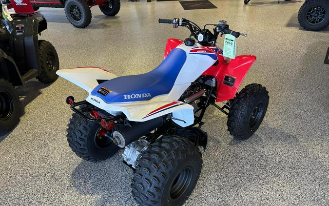 2026 Honda TRX250X