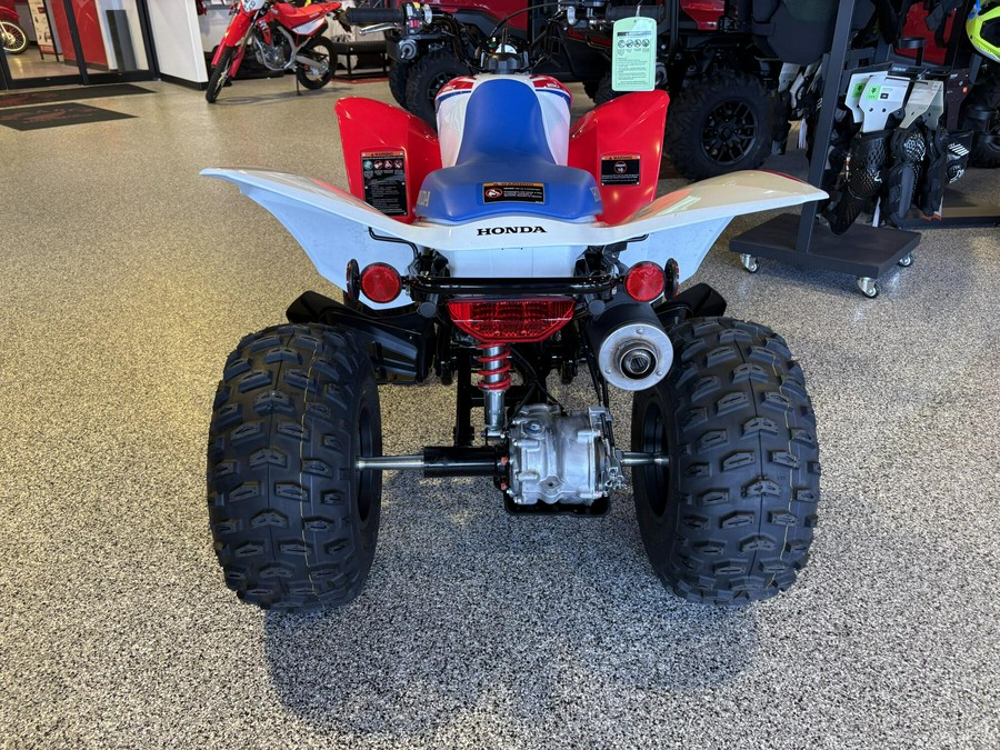2026 Honda TRX250X