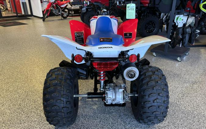 2026 Honda TRX250X