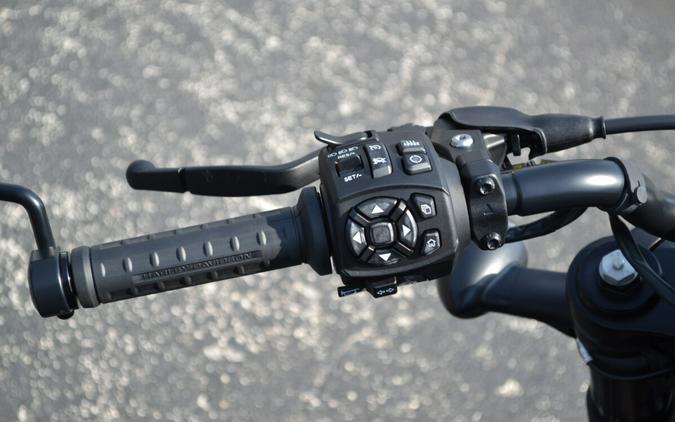 2025 Harley-Davidson® Sportster® S - RH1250S