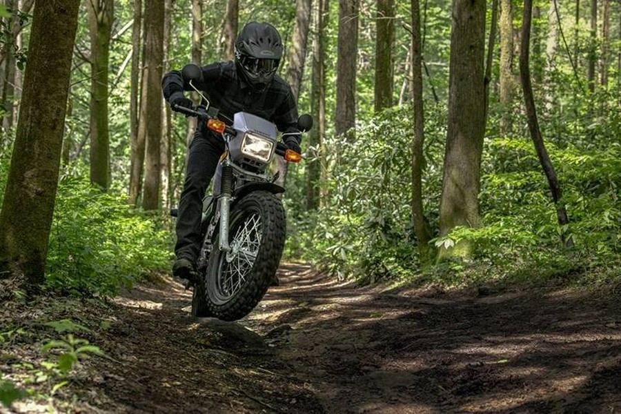 2027 TW200 - Yamaha