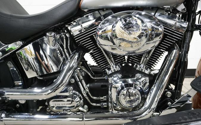 2014 Harley-Davidson® FLSTN - Softail® Deluxe