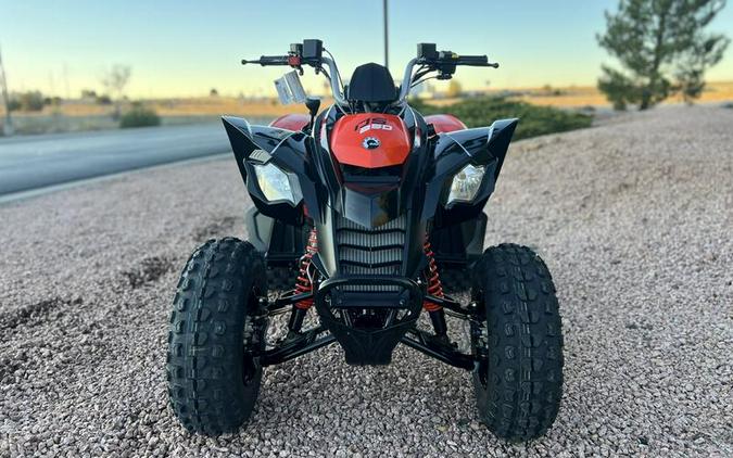2026 Can-Am® DS 250
