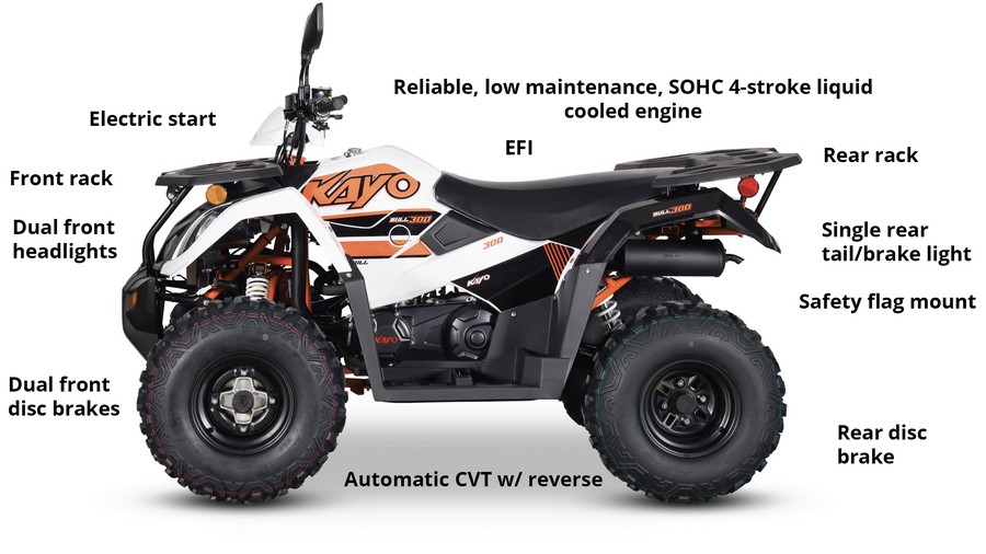 2025 Kayo NEW! Bull 300 EFI [Age 14+]