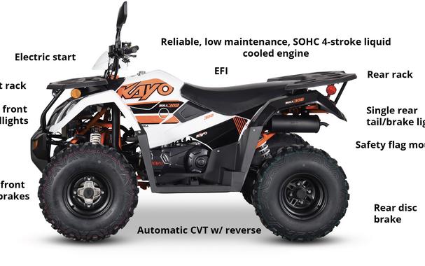 2025 Kayo NEW! Bull 300 EFI [Age 14+]