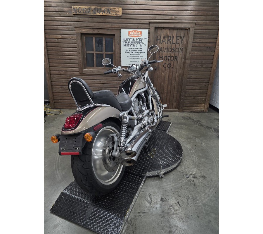 2004 Harley-Davidson® V-Rod® GOLD/BLACK W/PINSTRIPE