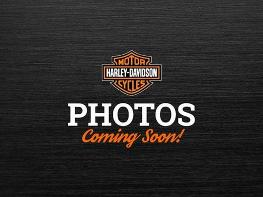 2021 Harley-Davidson Pan America™ Special