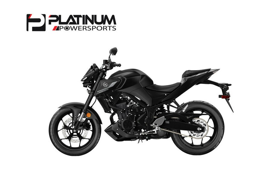 2024 Yamaha MT-03