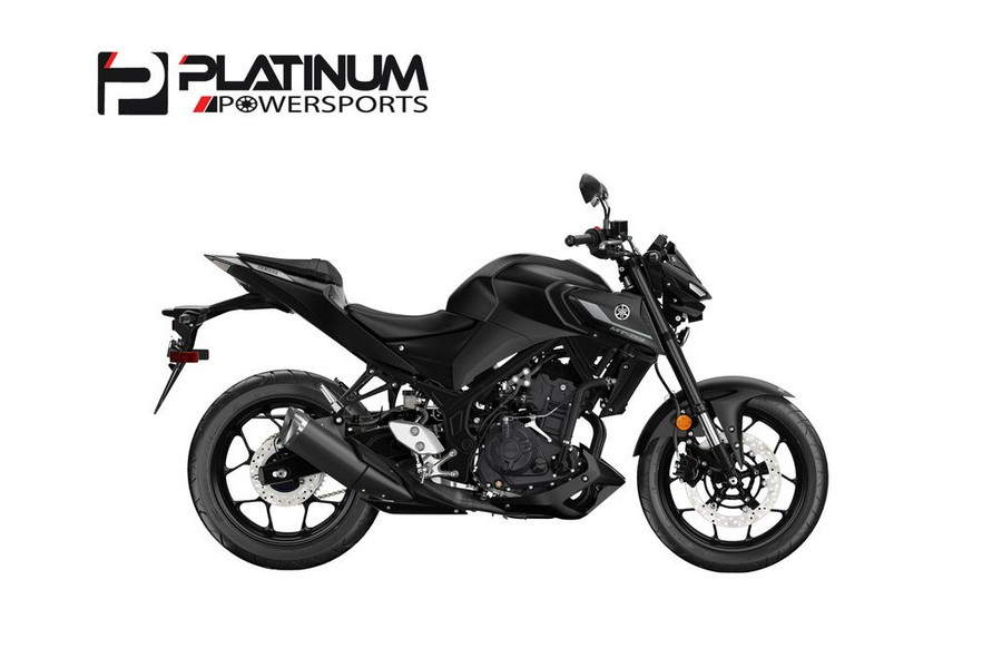 2024 Yamaha MT-03