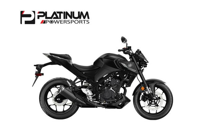 2024 Yamaha MT-03