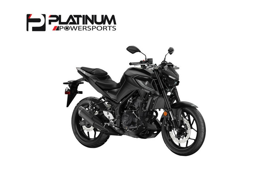 2024 Yamaha MT-03