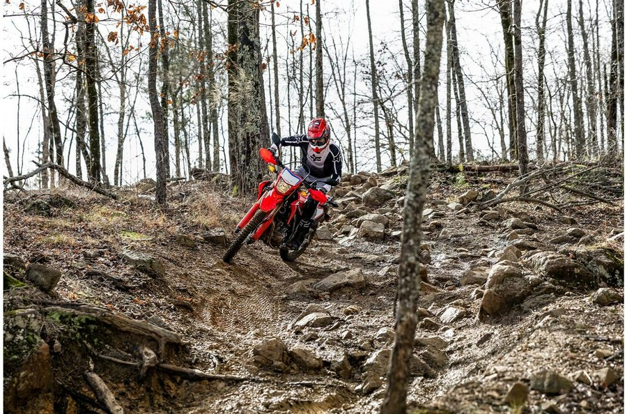 2024 Honda CRF300L