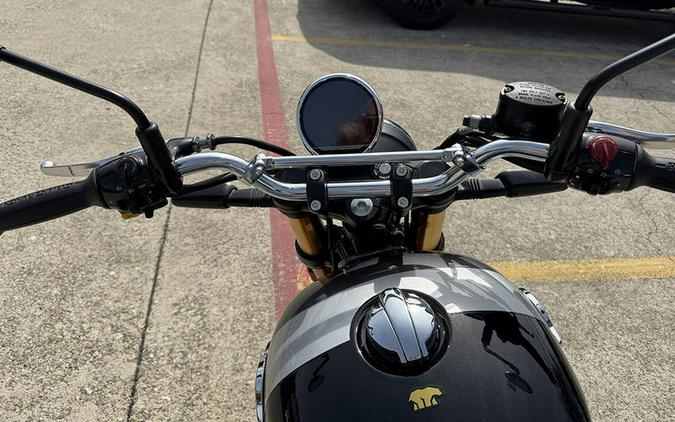 2026 Royal Enfield Bear 650 Golden Shadow