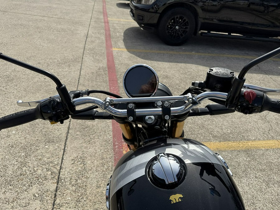 2026 Royal Enfield Bear 650 Golden Shadow
