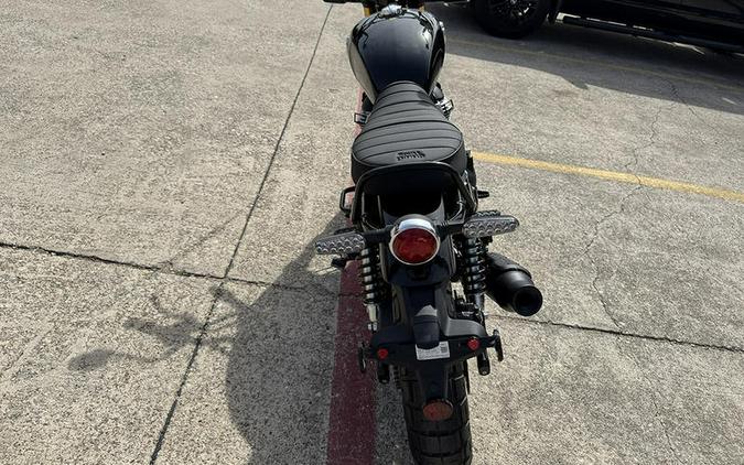 2026 Royal Enfield Bear 650 Golden Shadow