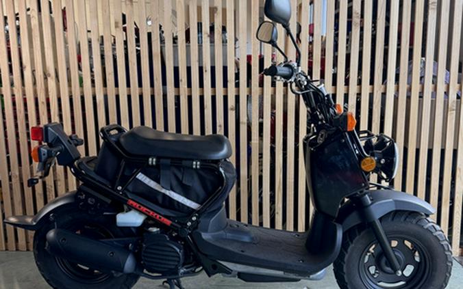 2015 Honda Ruckus