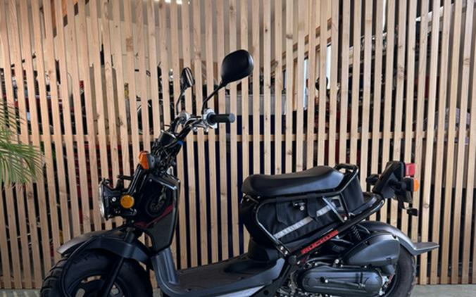 2015 Honda Ruckus