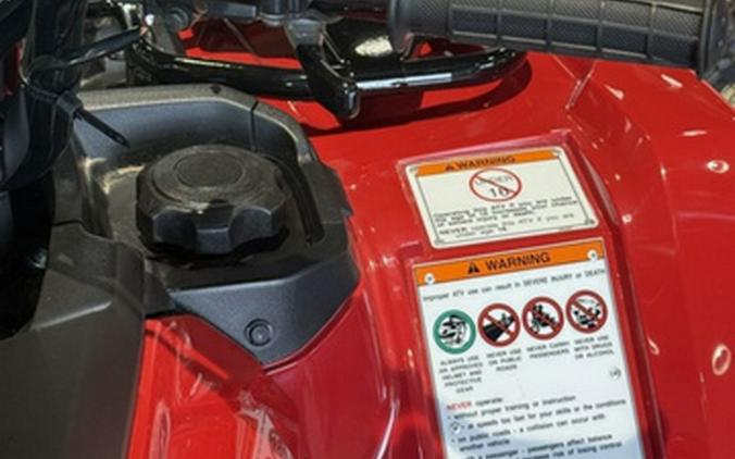 2026 Honda FourTrax Foreman Rubicon 4x4 EPS