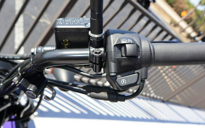 2019 Harley-Davidson XG500 - Street 500